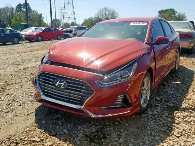 5NPE34AF2JH596742 - 2018 HYUNDAI SONATA SPO RED photo 2