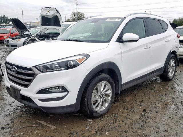 KM8J3CA48GU201190 - 2016 HYUNDAI TUCSON LIM WHITE photo 2