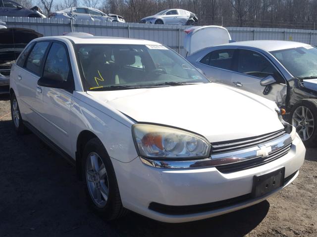 1G1ZT64814F239506 - 2004 CHEVROLET MALIBU MAX 白色 照片 1