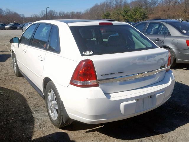 1G1ZT64814F239506 - 2004 CHEVROLET MALIBU MAX 白色 照片 3