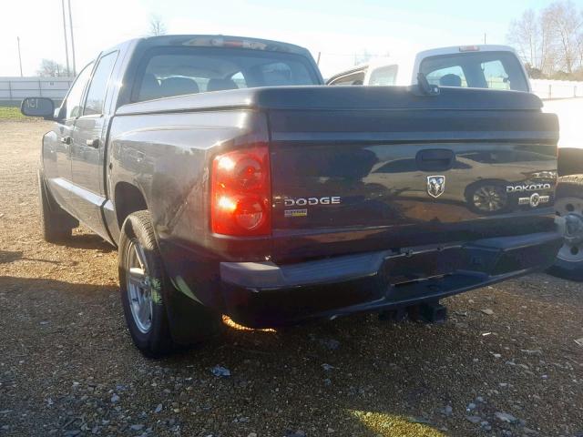 1D7HE38P89S721701 - 2009 DODGE DAKOTA SXT BLACK photo 3