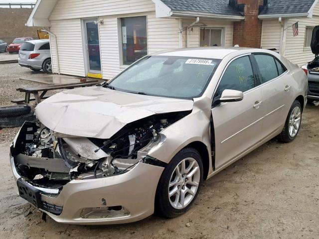 1G11C5SL3EF112661 - 2014 CHEVROLET MALIBU 1LT 金色 照片 2