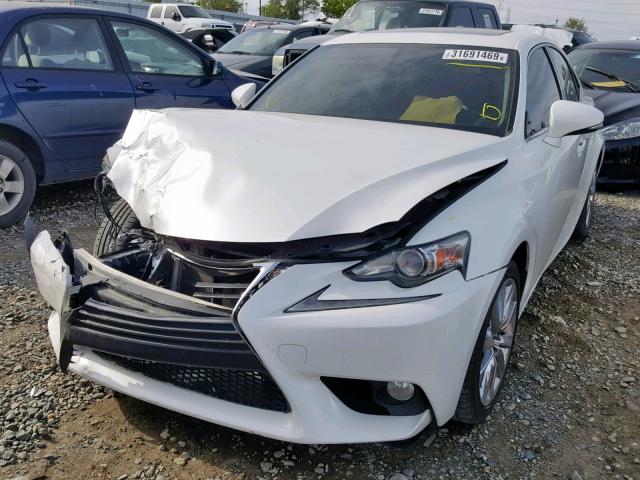 JTHBF1D24E5030314 - 2014 LEXUS IS 250 WHITE photo 2