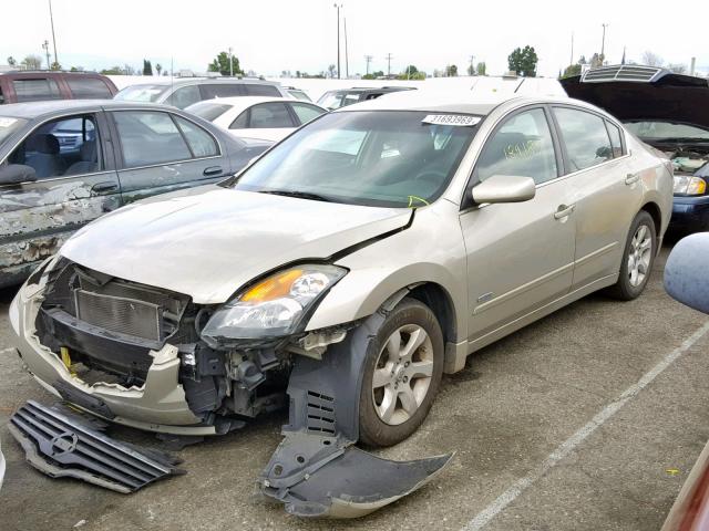 1N4CL21E59C164968 - 2009 NISSAN ALTIMA HYB TAN photo 2