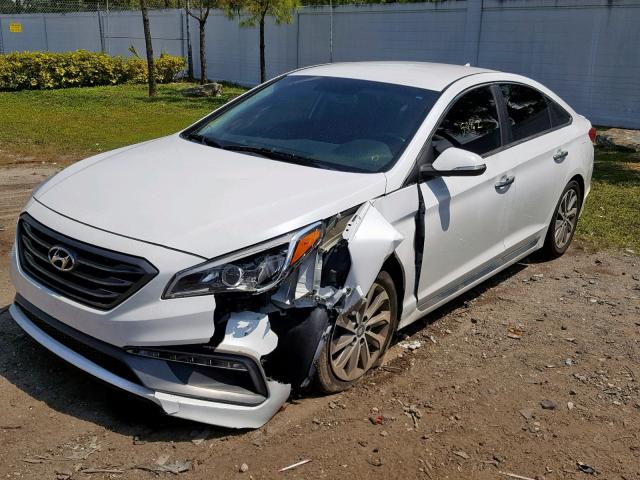 5NPE34AF9FH081356 - 2015 HYUNDAI SONATA SPO WHITE photo 2