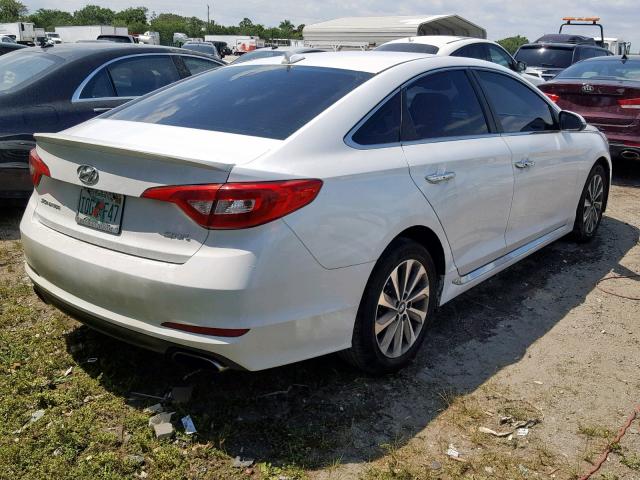 5NPE34AF9FH081356 - 2015 HYUNDAI SONATA SPO WHITE photo 4