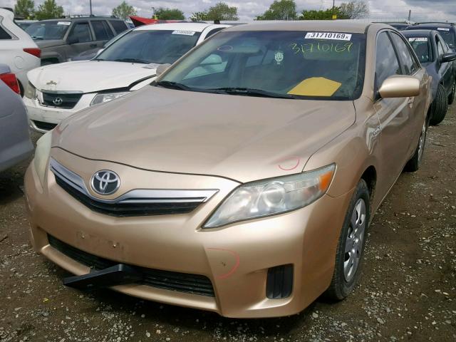 4T1BB3EK3AU124817 - 2010 TOYOTA CAMRY HYBR GOLD photo 2