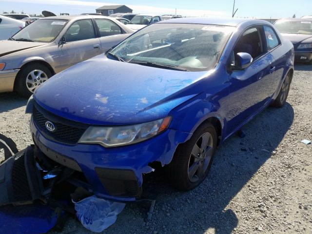 KNAFU6A2XA5246198 - 2010 KIA FORTE EX  photo 2