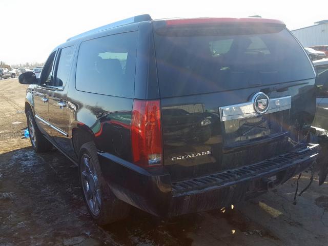 1GYFK66867R304969 - 2007 CADILLAC ESCALADE ESV  photo 3