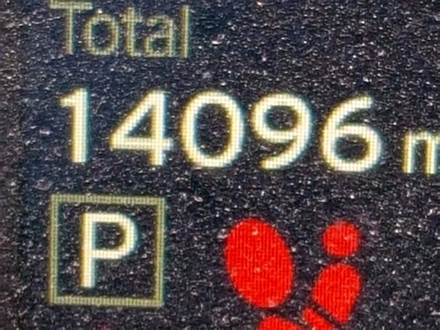 WBY1Z4C58GV506230 - 2016 BMW I3 REX Ağ foto 8