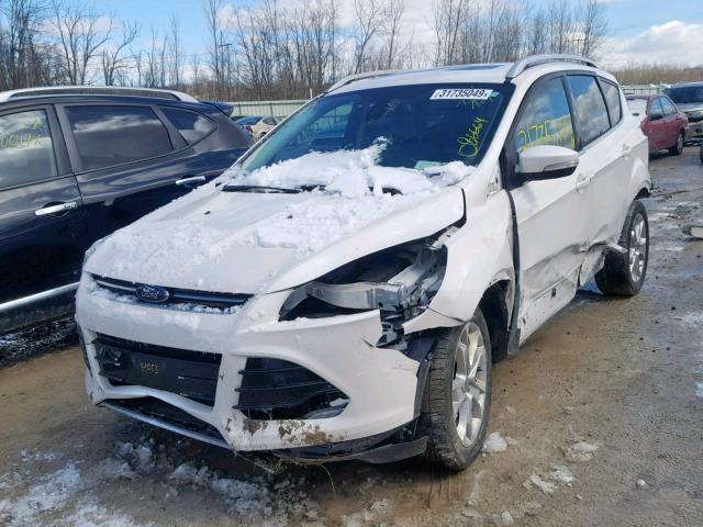 1FMCU9JX6EUC82769 - 2014 FORD ESCAPE TIT WHITE photo 2