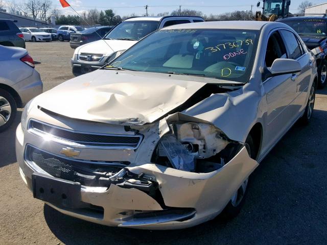1G1ZC5E03CF169329 - 2012 CHEVROLET MALIBU 1LT GOLD photo 2