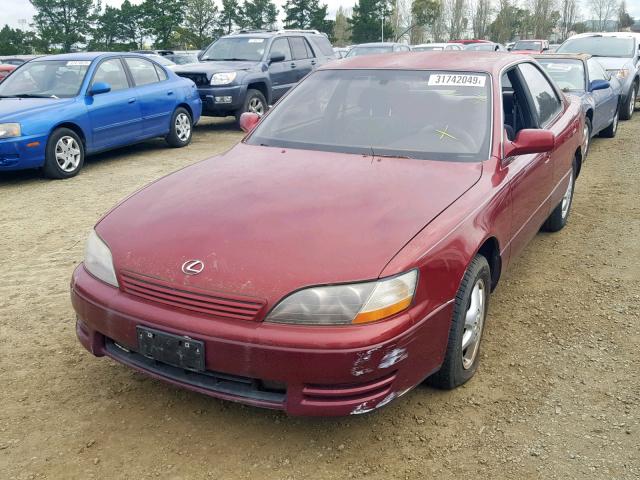 JT8GK13T6S0102781 - 1995 LEXUS ES 300 BURGUNDY photo 2