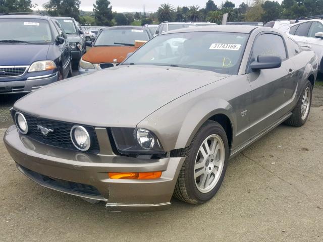1ZVHT82H655251656 - 2005 FORD MUSTANG GT GOLD photo 2