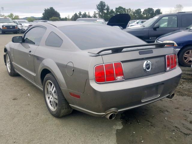 1ZVHT82H655251656 - 2005 FORD MUSTANG GT GOLD photo 3