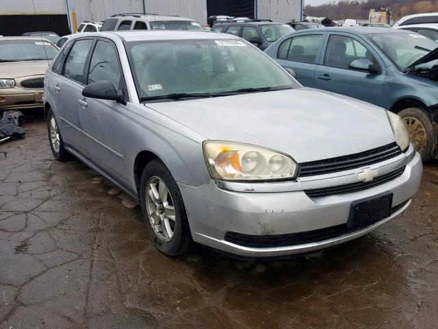 1G1ZT62864F212093 - 2004 CHEVROLET MALIBU MAX SILVER photo 1