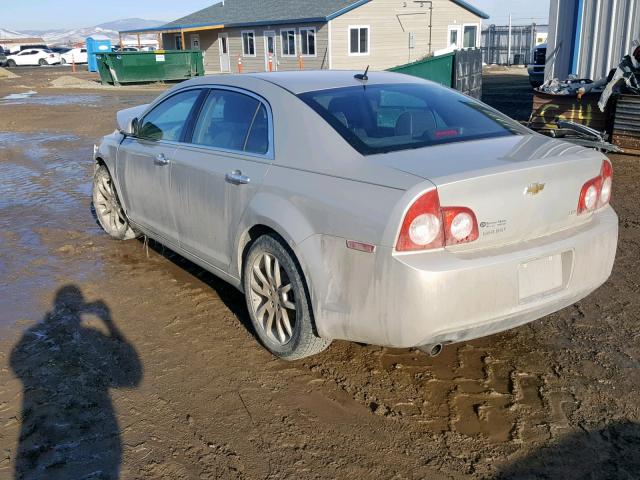 1G1ZK57B29F181028 - 2009 CHEVROLET MALIBU LTZ ბეჟი ფოტო 3