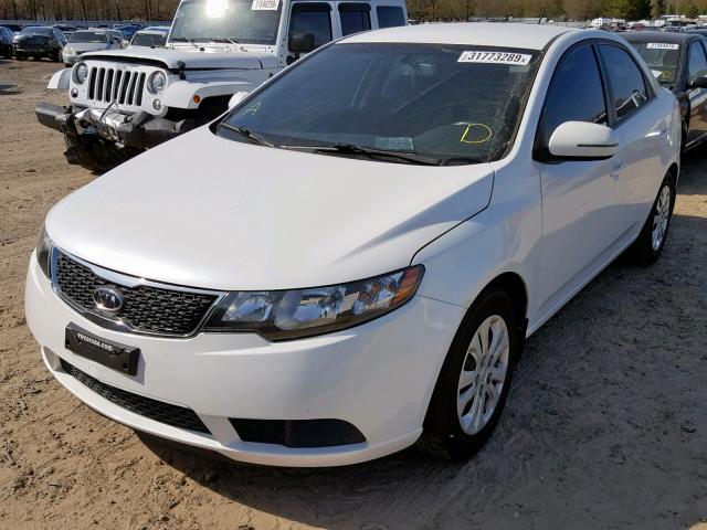 KNAFU4A24D5715178 - 2013 KIA FORTE EX WHITE photo 2