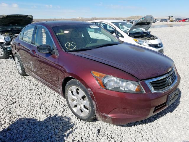 JHMCP26859C002208 - 2009 HONDA ACCORD EXL  photo 1