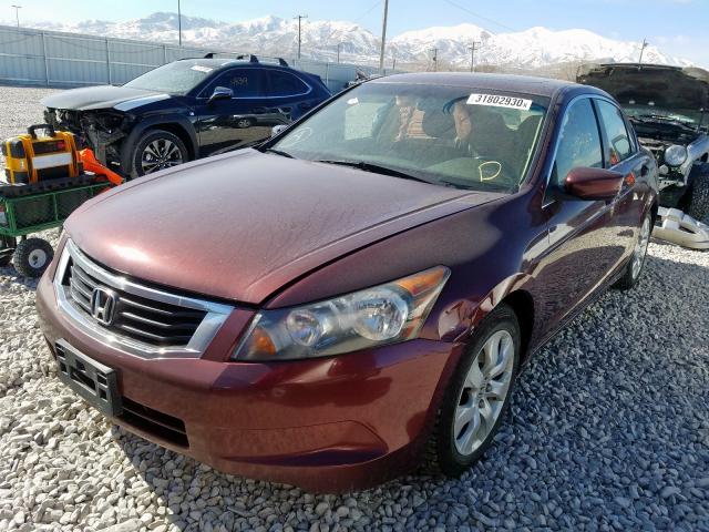 JHMCP26859C002208 - 2009 HONDA ACCORD EXL  photo 2