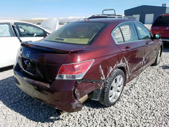 JHMCP26859C002208 - 2009 HONDA ACCORD EXL  photo 4