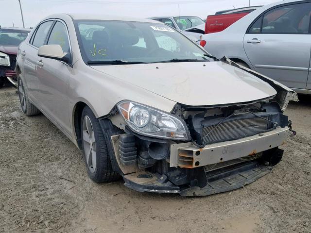 1G1ZC5E10BF115266 - 2011 CHEVROLET MALIBU 1LT 棕色 照片 1