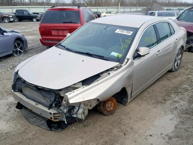 1G1ZC5E10BF115266 - 2011 CHEVROLET MALIBU 1LT 棕色 照片 2