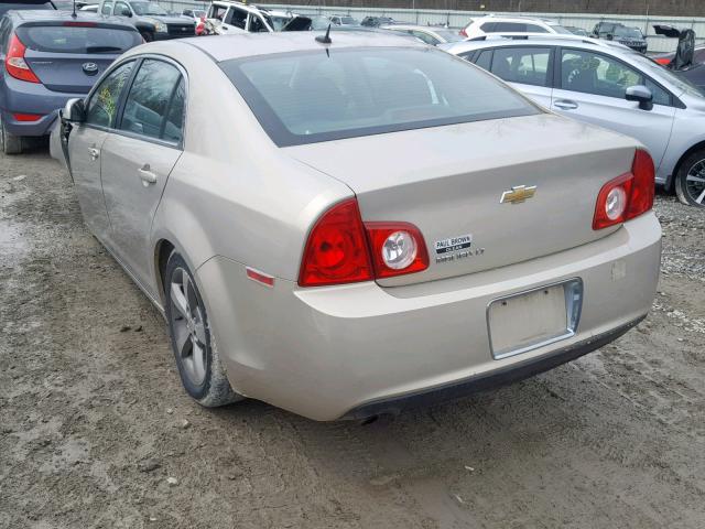 1G1ZC5E10BF115266 - 2011 CHEVROLET MALIBU 1LT 棕色 照片 3