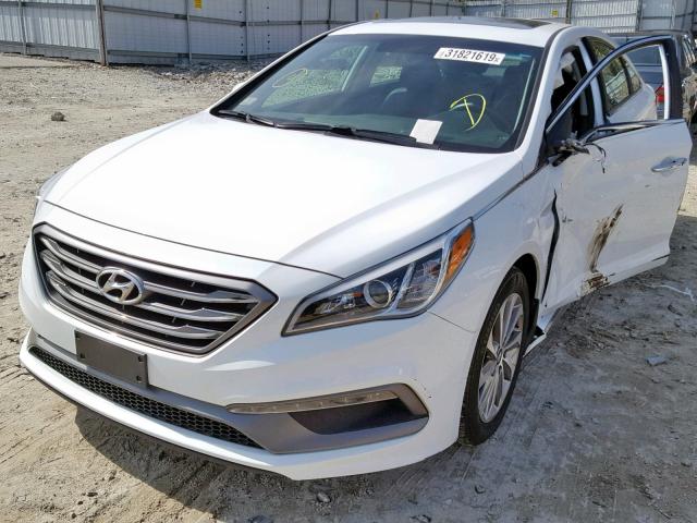 5NPE34AF9HH564509 - 2017 HYUNDAI SONATA SPO WHITE photo 2