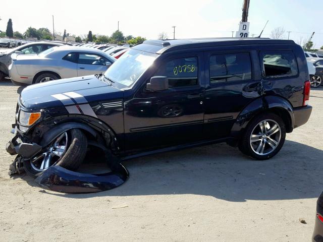 1D4PT7GX5BW561573 - 2011 DODGE NITRO SHOC BLUE photo 9