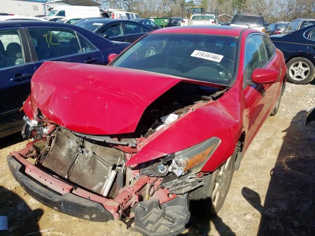 1HGCS12868A027484 - 2008 HONDA ACCORD EXL  photo 2