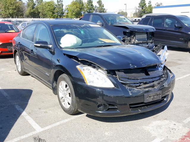 1N4CL2APXAC156905 - 2010 NISSAN ALTIMA HYB BLACK photo 1