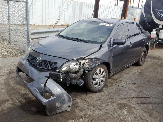 JTDBL40E499054638 - 2009 TOYOTA COROLLA BASE  photo 2