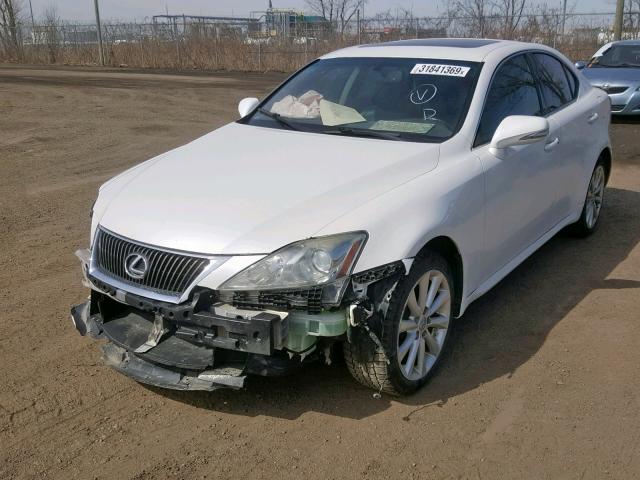 JTHCF5C2XA5037047 - 2010 LEXUS IS 250 WHITE photo 2