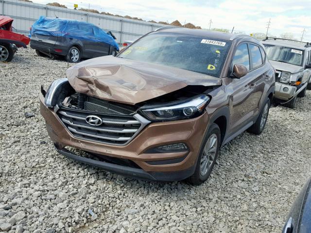 KM8J3CA42HU417036 - 2017 HYUNDAI TUCSON LIM GOLD photo 2