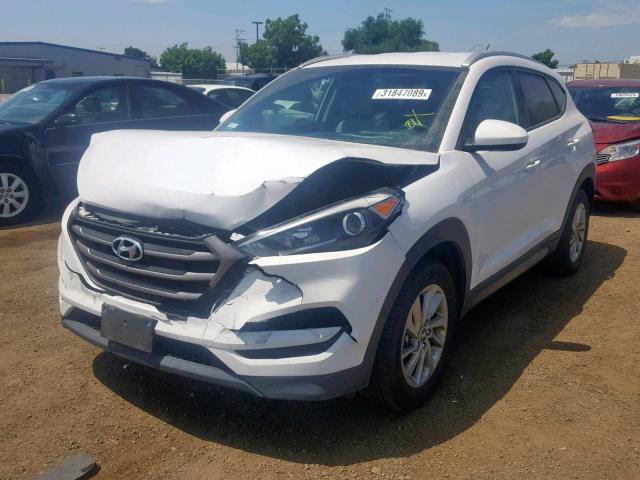 KM8J33A49GU137936 - 2016 HYUNDAI TUCSON LIM WHITE photo 2