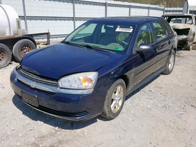1G1ZT62885F136457 - 2005 CHEVROLET MALIBU MAX 蓝色 照片 2