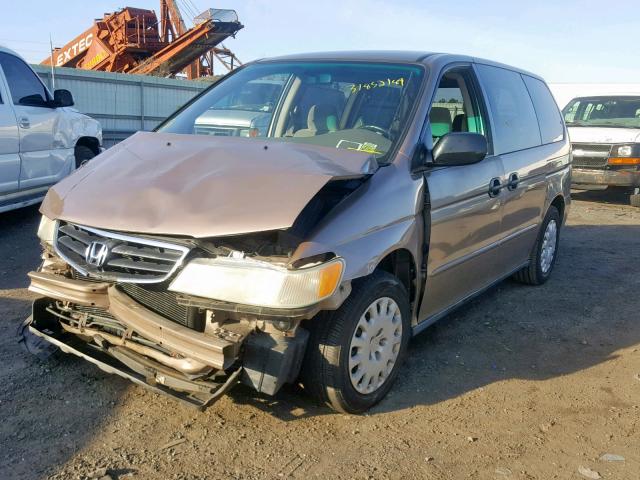 5FNRL18574B058117 - 2004 HONDA ODYSSEY LX GOLD photo 2