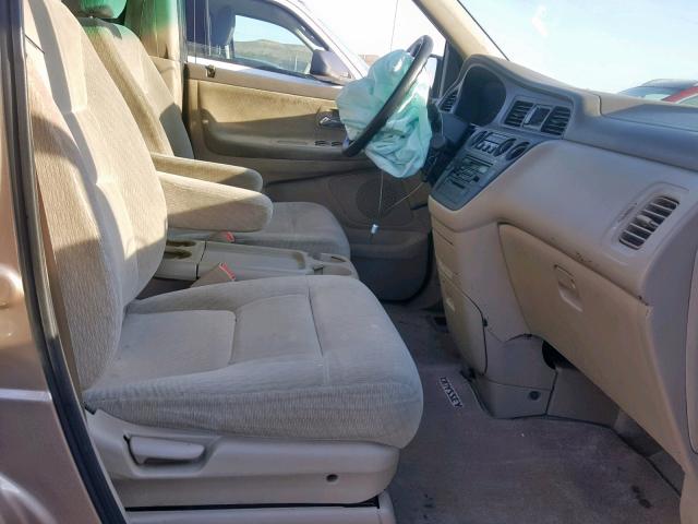 5FNRL18574B058117 - 2004 HONDA ODYSSEY LX GOLD photo 5