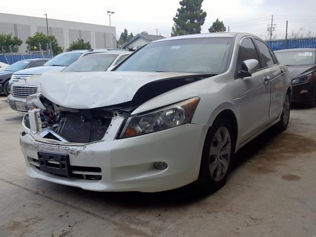 1HGCP36869A017451 - 2009 HONDA ACCORD EXL  photo 2