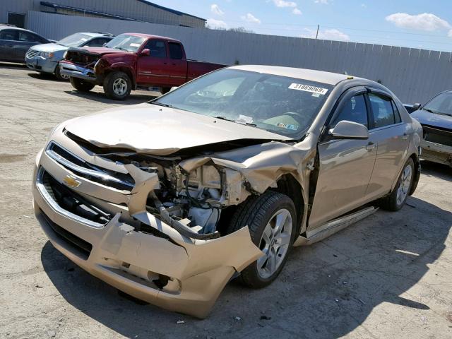 1G1ZH57B38F187448 - 2008 CHEVROLET MALIBU 1LT 金色 照片 2