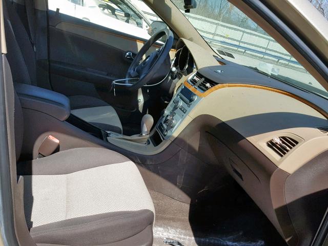 1G1ZH57B38F187448 - 2008 CHEVROLET MALIBU 1LT 金色 照片 5