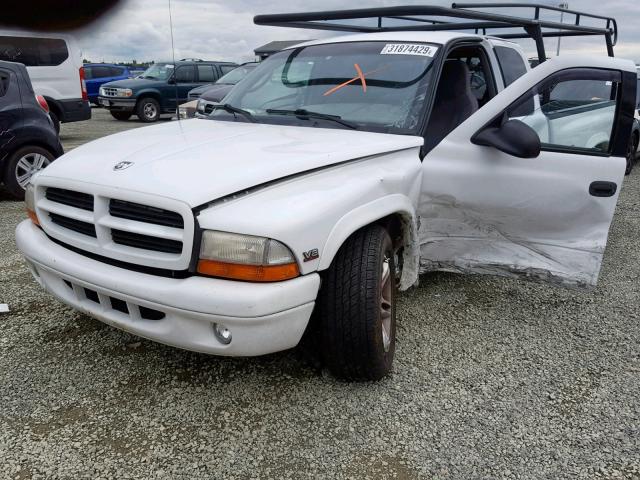 1B7GL22Z2YS667178 - 2000 DODGE DAKOTA WHITE photo 2