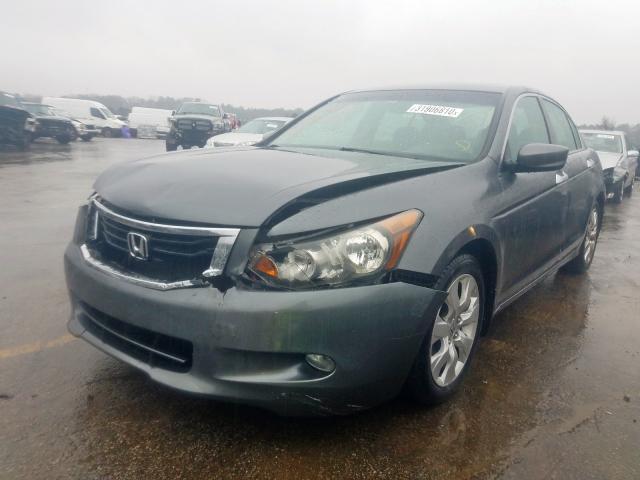 5KBCP36839B001361 - 2009 HONDA ACCORD EXL  photo 2