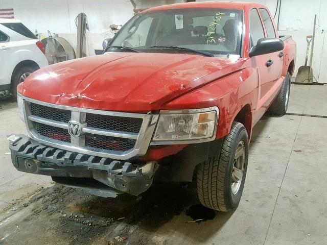 1D7HW48K28S517711 - 2008 DODGE DAKOTA QUA RED photo 2