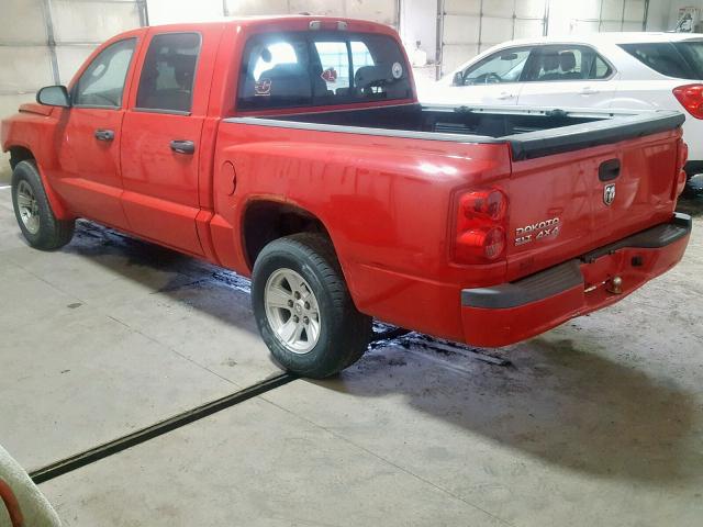 1D7HW48K28S517711 - 2008 DODGE DAKOTA QUA RED photo 3