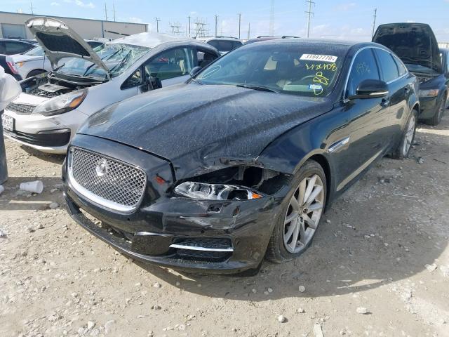 SAJWA1CB8BLV12408 - 2011 JAGUAR jaguar xj base  photo 2