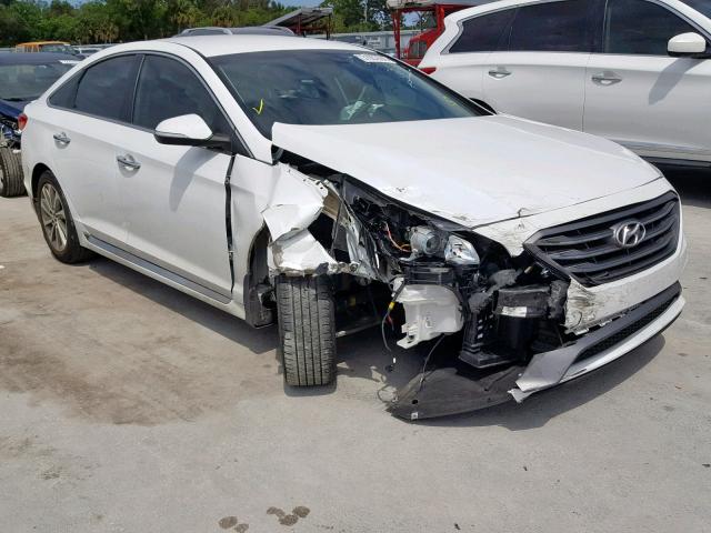 5NPE34AF2GH426115 - 2016 HYUNDAI SONATA SPO WHITE photo 1