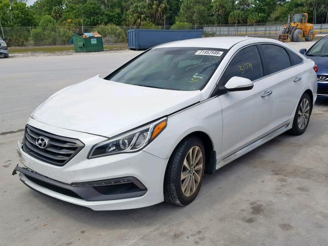 5NPE34AF2GH426115 - 2016 HYUNDAI SONATA SPO WHITE photo 2