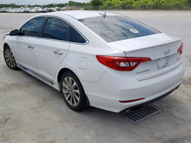 5NPE34AF2GH426115 - 2016 HYUNDAI SONATA SPO WHITE photo 3